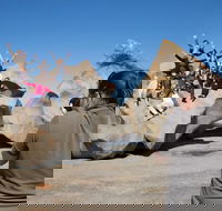 2-Day Kangaroo Island Adventure Tour from Adelaide - Accommodation Brisbane