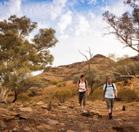 Flinders Ranges 3 Day 4WD Small Group Eco Tour from Adelaide - Accommodation Brisbane