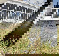 4 Knots Murray River Cruises offer Morning and Afternoon Tea and Lunch Cruises - Accommodation Brisbane