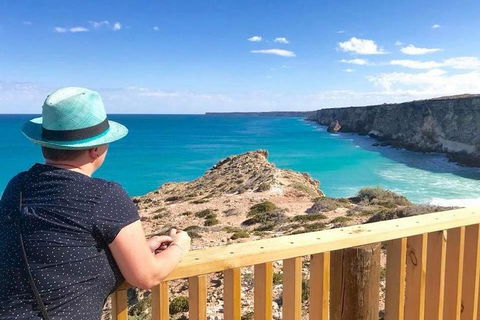 3 Day Whale Watching Tour From Adelaide - Accommodation Brisbane 0