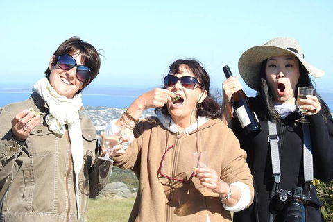 3 Day Whale Watching Tour From Adelaide - Accommodation Brisbane 15