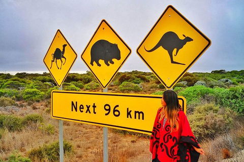 3 Day Whale Watching Tour From Adelaide - Accommodation Brisbane 10