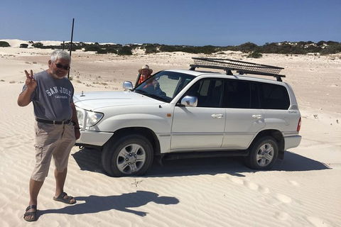 3 Day Whale Watching Tour From Adelaide - Accommodation Brisbane 11