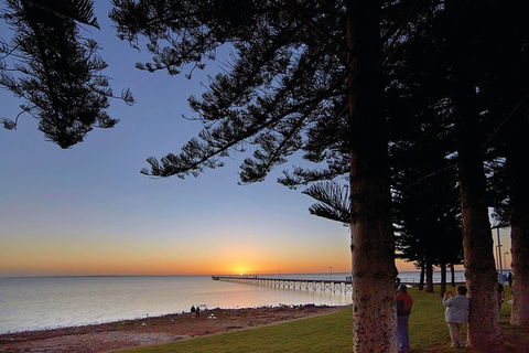 3 Day Whale Watching Tour From Adelaide - Accommodation Brisbane 4