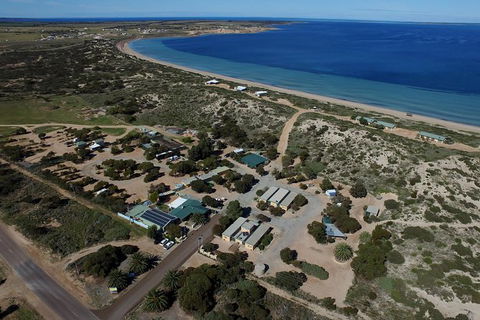 3 Day Whale Watching Tour From Adelaide - Accommodation Brisbane 13