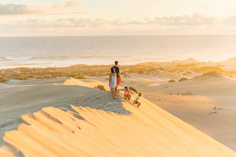 3 Day Whale Watching Tour From Adelaide - Accommodation Brisbane 6