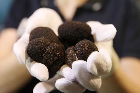 Adelaide Central Market Exclusive Tour - Accommodation Brisbane 9