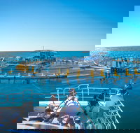 2 Hour Aquarium Tour - Accommodation Brisbane