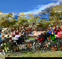 McLaren Vale Shiraz Trail Cycling Tour from Adelaide - Accommodation Brisbane