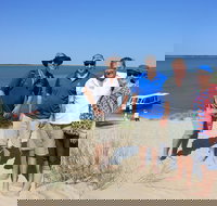 Coorong National Park Wildlife Cruise from Goolwa - Accommodation Brisbane