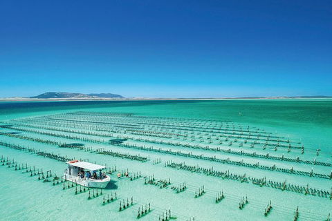 Coffin Bay Private Day Tour From Port Lincoln - A Taste Of Coffin Bay - Accommodation Brisbane 0