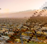 Barossa Valley Private Tour It's your tour the way you want it. - Accommodation Brisbane