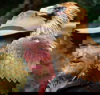 Kangaroo Island Wildlife Day Trip from Adelaide Including Seal Bay - Accommodation Brisbane