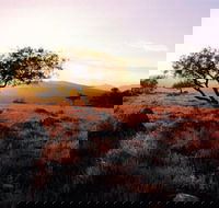 Adelaide To Coober Pedy 7 DAY SMALL GROUP 4WD SAFARI - Accommodation Brisbane