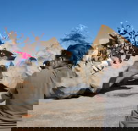 2-Day Kangaroo Island Adventure from Adelaide - Accommodation Brisbane