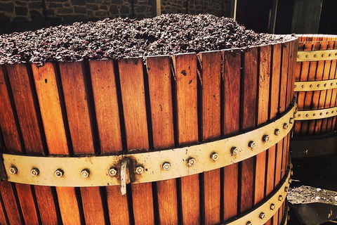 Small Tour Barossa Valley Voyager Tour From Adelaide Or Glenelg - Accommodation Brisbane 6