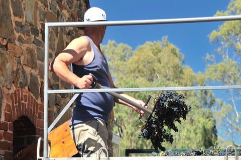 Small Tour Barossa Valley Voyager Tour From Adelaide Or Glenelg - Accommodation Brisbane 3