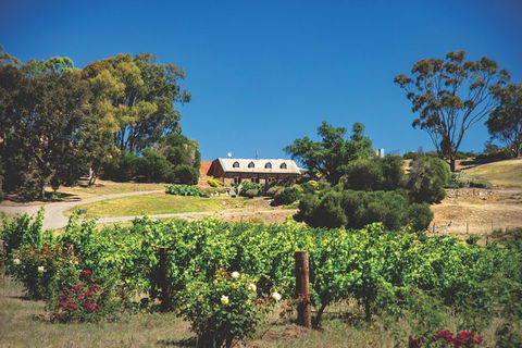 Small Tour Barossa Valley Voyager Tour From Adelaide Or Glenelg - Accommodation Brisbane 9