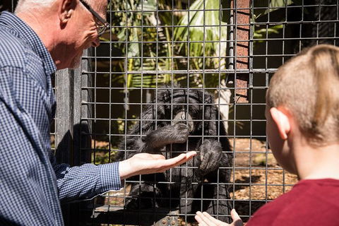 Adelaide Zoo Behind The Scenes Experience: Meet The Primates - Accommodation Brisbane 1
