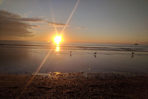 A Taste Of Adelaide And Hahndorf By Car Private Tour. - Accommodation Brisbane 6