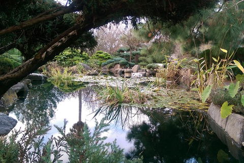 A Taste Of Adelaide And Hahndorf By Car Private Tour. - Accommodation Brisbane 3