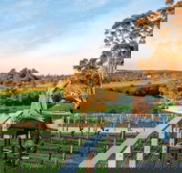 Full-Day Hahndorf and Adelaide Hills Hop-On Hop-Off Tour from Adelaide - Accommodation Brisbane