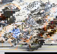 Adelaide Central Market  City EcoCaddy Tour - Accommodation Brisbane