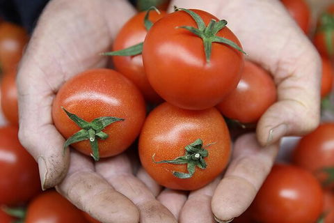 Adelaide Central Market & City EcoCaddy Tour - Accommodation Brisbane 7