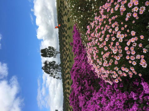 Small Group Gourmet Barossa Valley Day Trip From Adelaide - Accommodation Brisbane 2