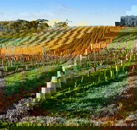 Victor Harbor with McLaren Vale Wine Region Tour from Adelaide - Accommodation Brisbane