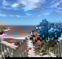 2 Day Kangaroo Island Wildlife Adventure from Adelaide - Accommodation Brisbane