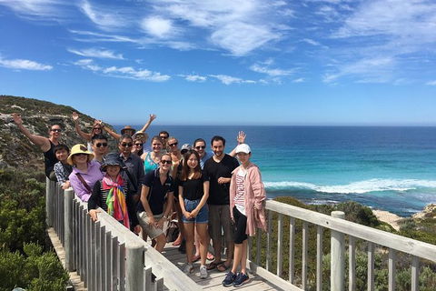 2 Day Kangaroo Island Wildlife Adventure From Adelaide - Accommodation Brisbane 0