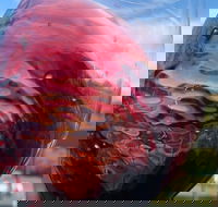 Barossa Wine Tour - Accommodation Brisbane