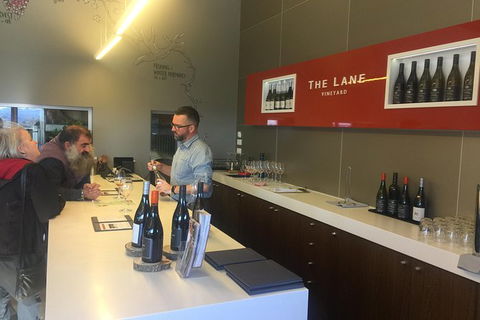 Wine Tours Adelaide - Accommodation Brisbane 11