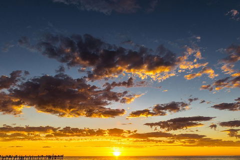 Adelaide Ocean Safari - Twilight Safari - Accommodation Brisbane 1