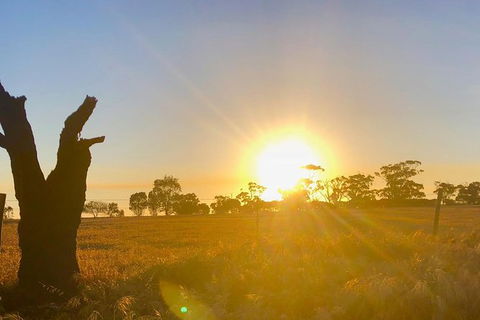 Fleurieu Explorer 3 Day 2 Night Cycle Camping Self Guided Tour - Accommodation Brisbane 4