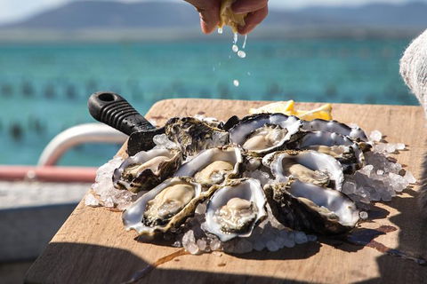 Experience Coffin Bay Short And Sweet Oyster Farm Tour - Accommodation Brisbane 0