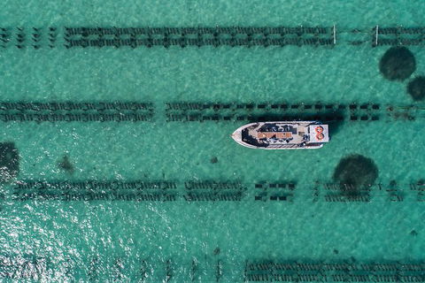 Experience Coffin Bay Short And Sweet Oyster Farm Tour - Accommodation Brisbane 1