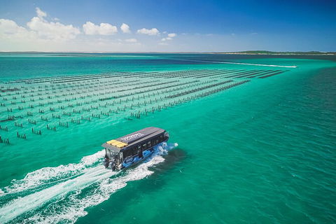 Experience Coffin Bay Short And Sweet Oyster Farm Tour - Accommodation Brisbane 2