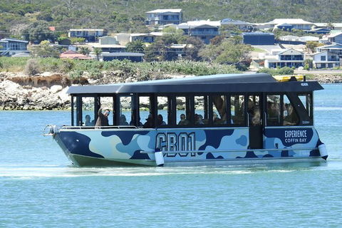 Experience Coffin Bay Short And Sweet Oyster Farm Tour - Accommodation Brisbane 9