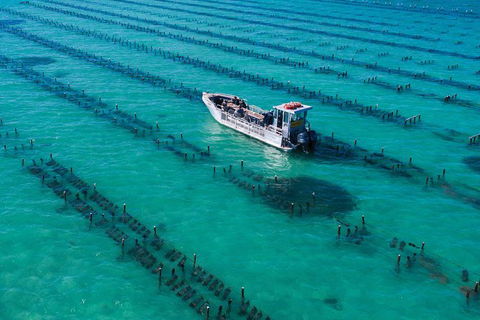 Experience Coffin Bay Short And Sweet Oyster Farm Tour - Accommodation Brisbane 7