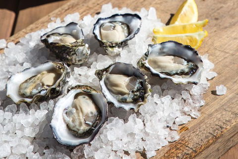 Experience Coffin Bay Short And Sweet Oyster Farm Tour - Accommodation Brisbane 3