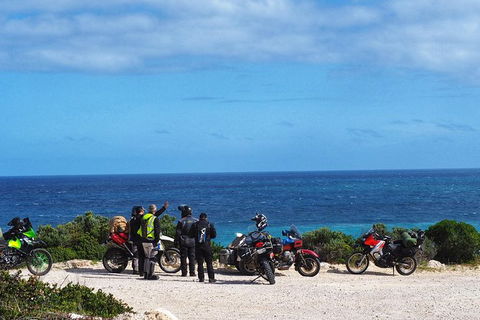 3 Days Flerieu Peninsula And Kangaroo Island Motorcycle Tour - Accommodation Brisbane 6