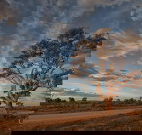 Flinders Ranges Photography Tour - Accommodation Brisbane