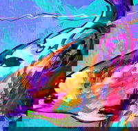 Good Luck Dragonfly - Duke of Brunswick Hotel 1.30-3.30pm - Accommodation Brisbane