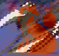 Mount Lofty Botanic Garden Adventure - Accommodation Brisbane