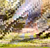 Gemtree Wines Wine and Wander Experience - Accommodation Brisbane