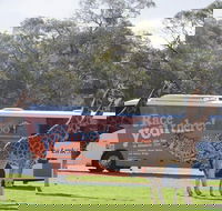 Monarto Safari Park Bus transfers from Adelaide City - Accommodation Brisbane