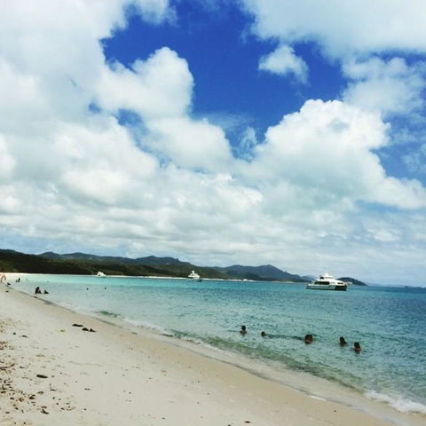 Whitehaven Beach Half-Day Cruises - Accommodation Brisbane 11