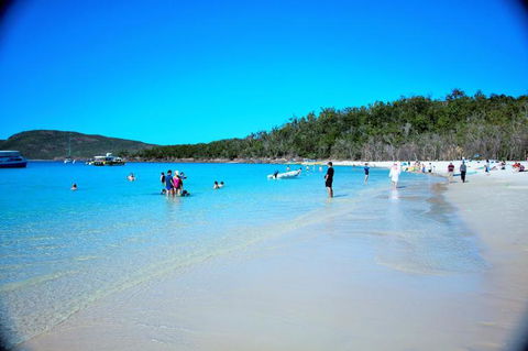 Whitehaven Beach Half-Day Cruises - Accommodation Brisbane 9